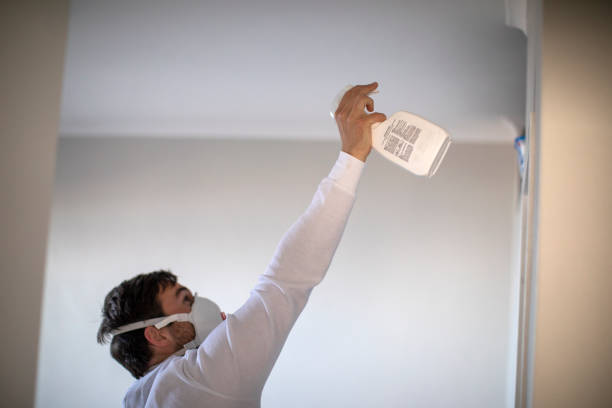 Best Industrial Mold Remediation in North Barrington, IL