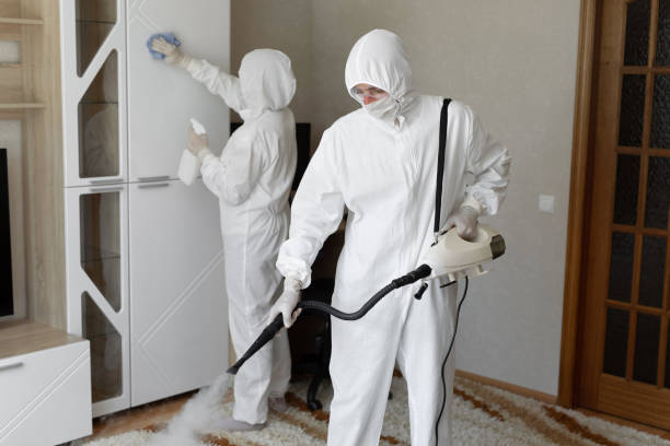 Best Mold Testing and Inspection Services in North Barrington, IL