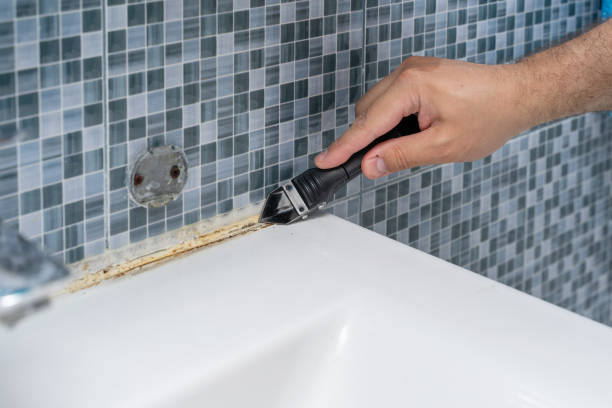 Best Localized Mold Remediation (e.g., coastal areas, humid climates) in North Barrington, IL